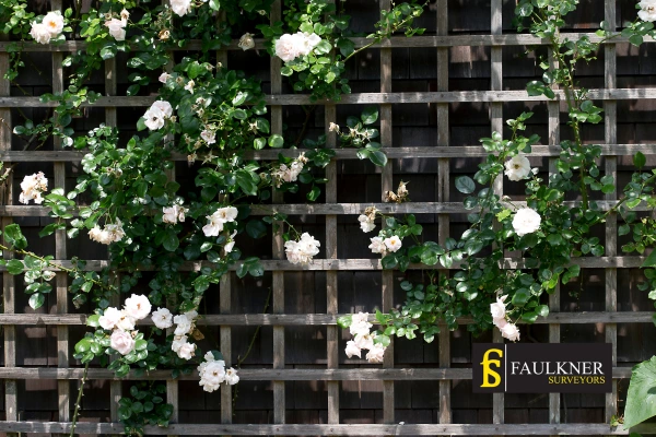 Can I put trellis on my Neighbours garage wall? 2 Do you want to adapt your neighbours garage door and add a trellis St-Albans? Talk to Faulkner Surveyor St-Albans